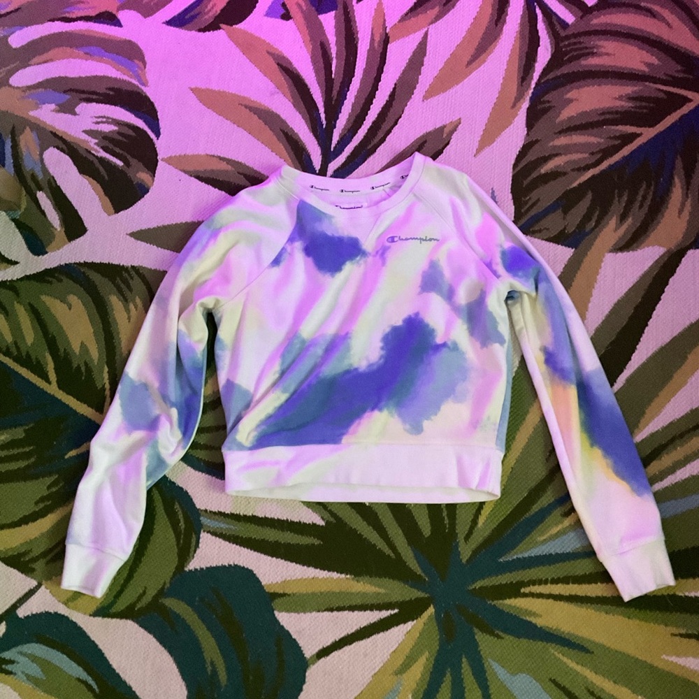 Champion cropped sweater